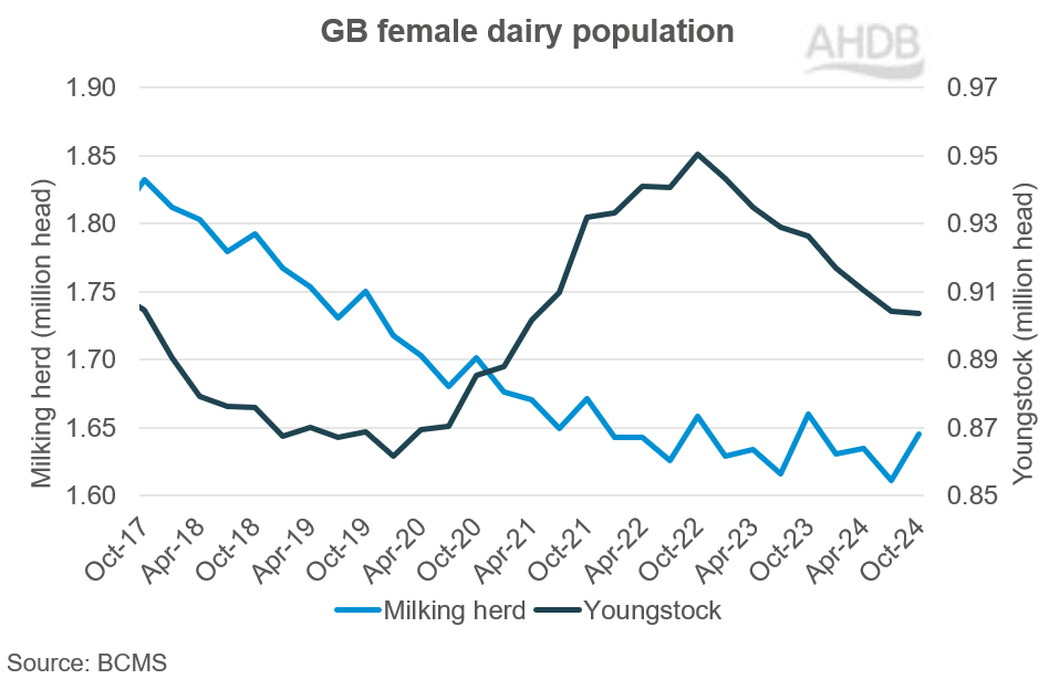 GB female dairy population